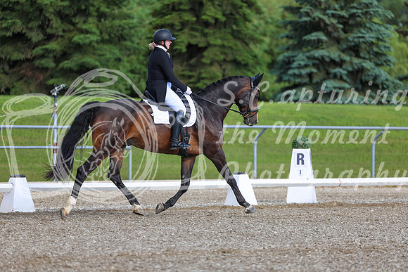 01667 - 2026 Dressage Festival - Sunday July 5th