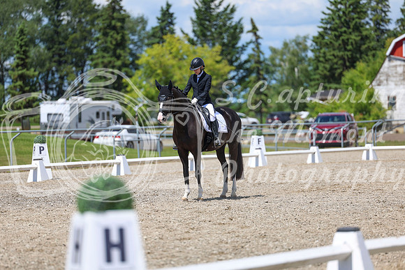 14007 - 2026 Dressage Festival - Sunday July 5th