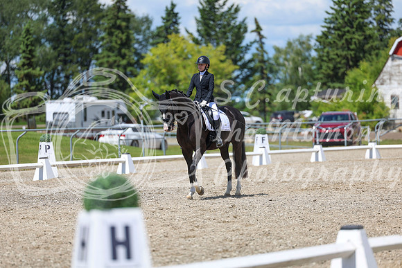14009 - 2026 Dressage Festival - Sunday July 5th