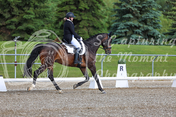 01669 - 2026 Dressage Festival - Sunday July 5th