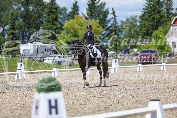 14010 - 2026 Dressage Festival - Sunday July 5th
