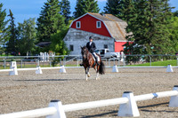 00699 - 2026 Dressage Festival - Sunday July 5th