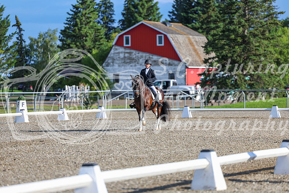00699 - 2026 Dressage Festival - Sunday July 5th
