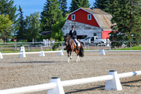 00702 - 2026 Dressage Festival - Sunday July 5th