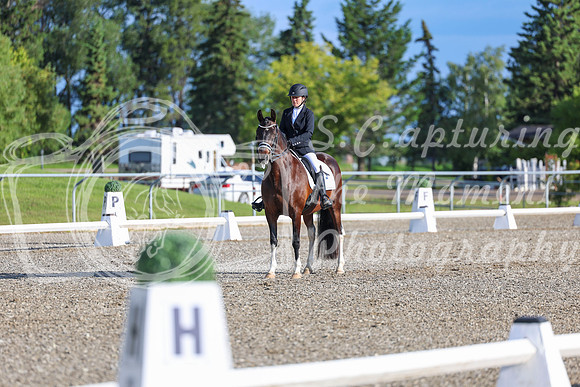 00710 - 2026 Dressage Festival - Sunday July 5th