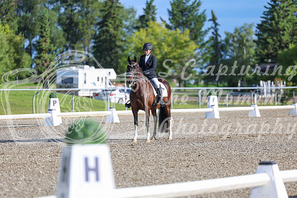 00712 - 2026 Dressage Festival - Sunday July 5th