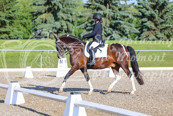 00724 - 2026 Dressage Festival - Sunday July 5th