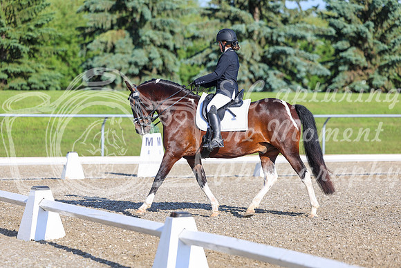 00725 - 2026 Dressage Festival - Sunday July 5th
