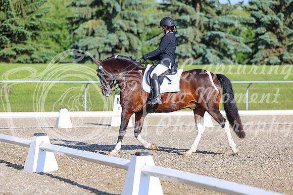 00727 - 2026 Dressage Festival - Sunday July 5th