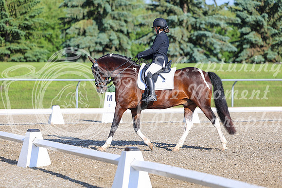00726 - 2026 Dressage Festival - Sunday July 5th