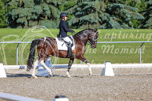 00729 - 2026 Dressage Festival - Sunday July 5th
