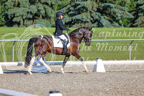 00730 - 2026 Dressage Festival - Sunday July 5th
