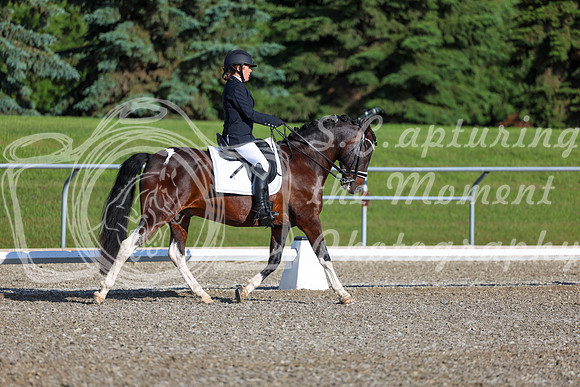 00732 - 2026 Dressage Festival - Sunday July 5th