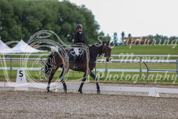 02711 - 2026 Dressage Festival - Sunday July 5th