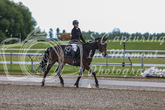 02713 - 2026 Dressage Festival - Sunday July 5th