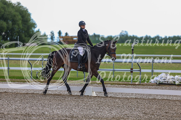 02714 - 2026 Dressage Festival - Sunday July 5th