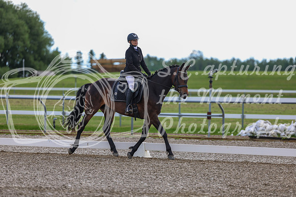 02715 - 2026 Dressage Festival - Sunday July 5th