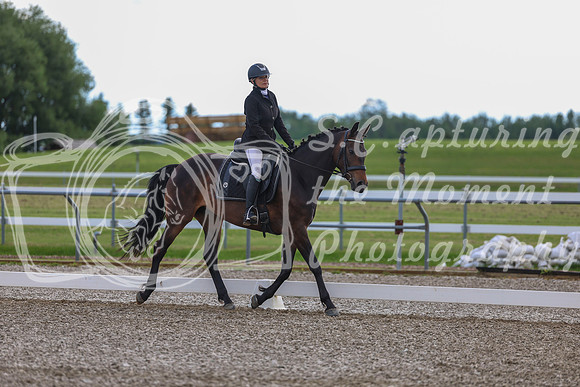 02716 - 2026 Dressage Festival - Sunday July 5th