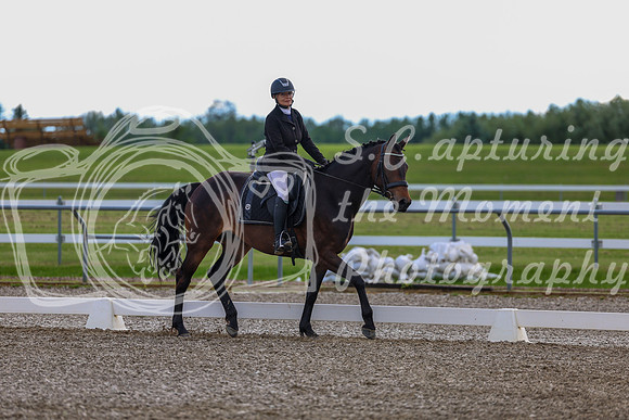 02717 - 2026 Dressage Festival - Sunday July 5th