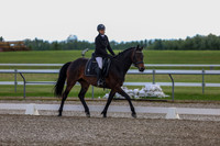 02719 - 2026 Dressage Festival - Sunday July 5th