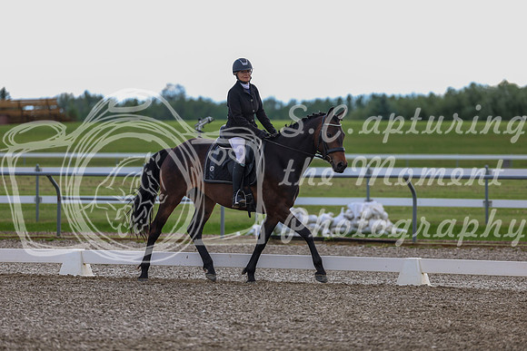 02719 - 2026 Dressage Festival - Sunday July 5th