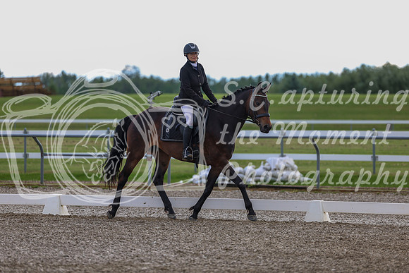 02720 - 2026 Dressage Festival - Sunday July 5th