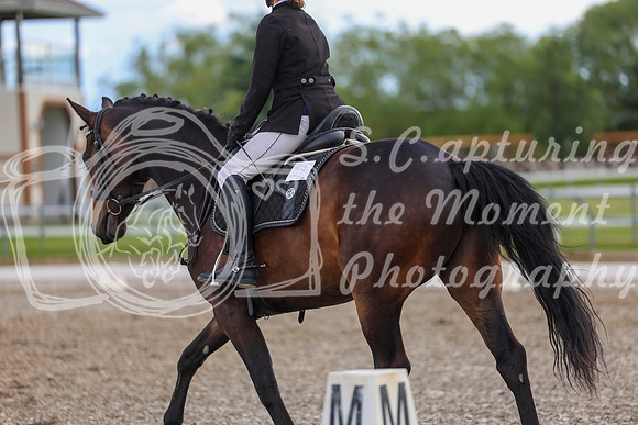 02721 - 2026 Dressage Festival - Sunday July 5th
