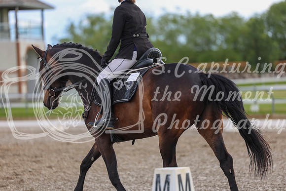 02722 - 2026 Dressage Festival - Sunday July 5th