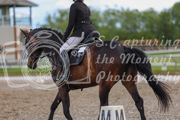 02723 - 2026 Dressage Festival - Sunday July 5th