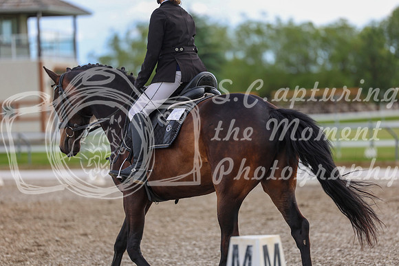 02724 - 2026 Dressage Festival - Sunday July 5th