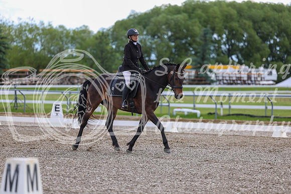 02782 - 2026 Dressage Festival - Sunday July 5th