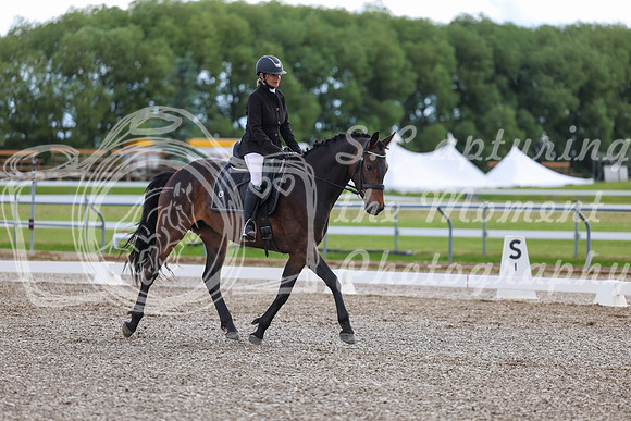 02788 - 2026 Dressage Festival - Sunday July 5th