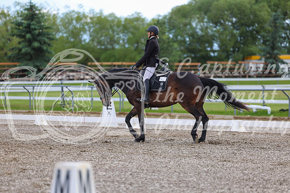 02842 - 2026 Dressage Festival - Sunday July 5th