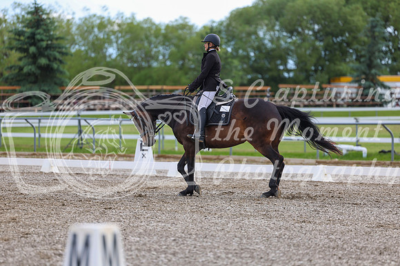 02841 - 2026 Dressage Festival - Sunday July 5th