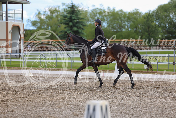 02843 - 2026 Dressage Festival - Sunday July 5th