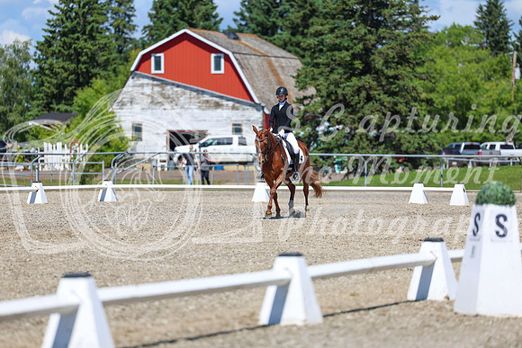 12649 - 2026 Dressage Festival - Sunday July 5th