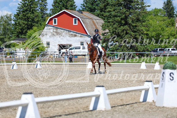 12650 - 2026 Dressage Festival - Sunday July 5th