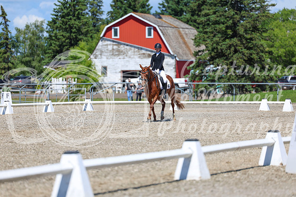 12651 - 2026 Dressage Festival - Sunday July 5th