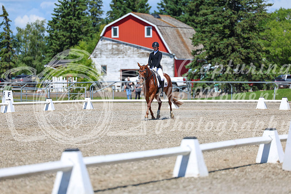 12652 - 2026 Dressage Festival - Sunday July 5th