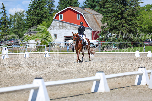 12653 - 2026 Dressage Festival - Sunday July 5th
