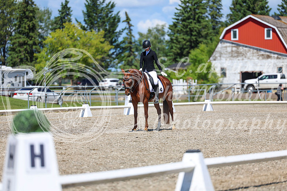 12658 - 2026 Dressage Festival - Sunday July 5th