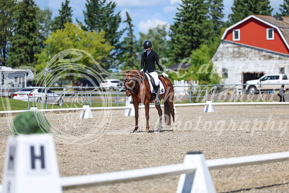 12659 - 2026 Dressage Festival - Sunday July 5th