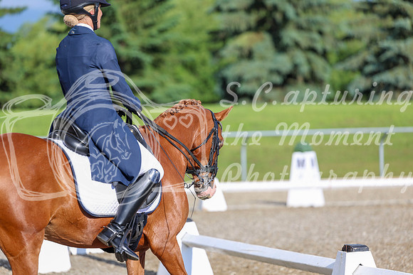 01227 - 2026 Dressage Festival - Sunday July 5th