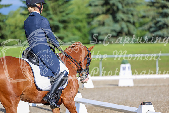01228 - 2026 Dressage Festival - Sunday July 5th