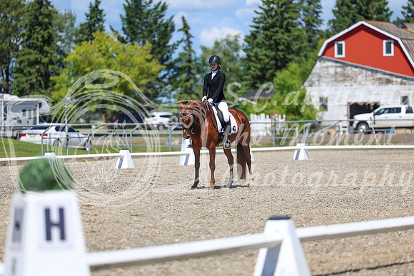 12662 - 2026 Dressage Festival - Sunday July 5th
