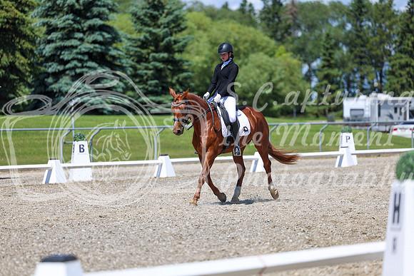 12664 - 2026 Dressage Festival - Sunday July 5th