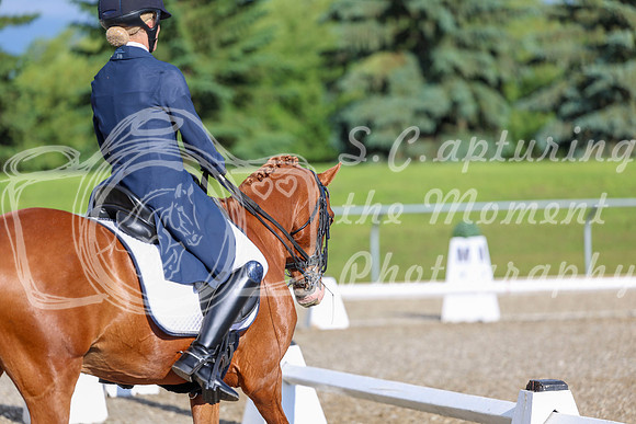 01230 - 2026 Dressage Festival - Sunday July 5th