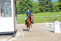 01231 - 2026 Dressage Festival - Sunday July 5th