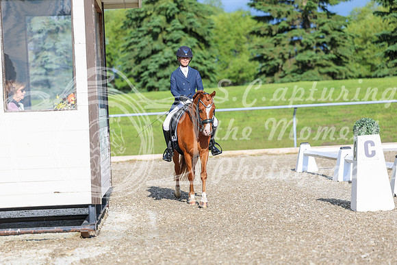 01232 - 2026 Dressage Festival - Sunday July 5th