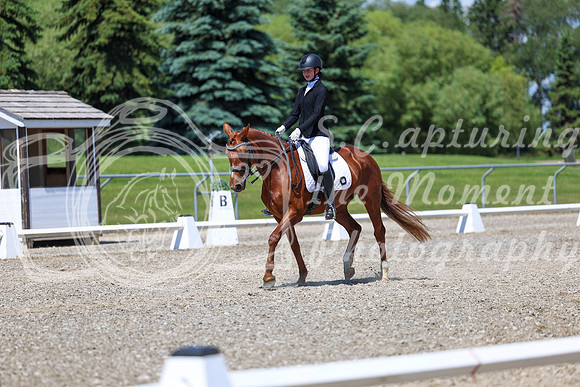 12666 - 2026 Dressage Festival - Sunday July 5th